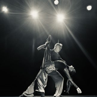 Pääsylippu tanssiesitys Layers Of Existence ja Echoes (8020000000001)